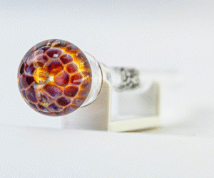 imagem de piteira implosion Fino do Fino